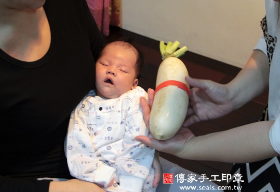 楊寶寶(新北汐止區到府嬰兒寶寶滿月剃頭理髮、免費到府嬰兒剃胎毛儀式吉祥話)。到府剃頭剃胎毛主持、專業拍照、DVD光碟、證書。★購買「臍帶章、肚臍章、胎毛筆刷印章」贈送：剃頭、收涎、抓周，三選一。2015.11.20 照片13